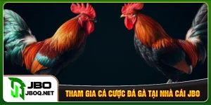 Tham gia cá cược đá gà tại nhà cái JBO